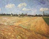 Gogh, Vincent van - The Plowed Field